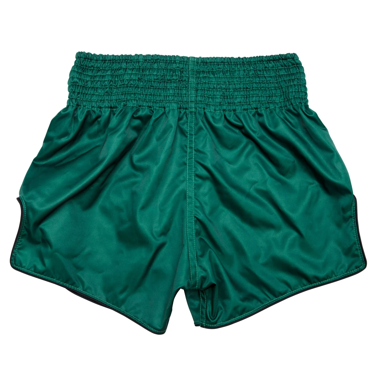 BS1913 Fairtex Tonna Muaythai Shorts - Image 2