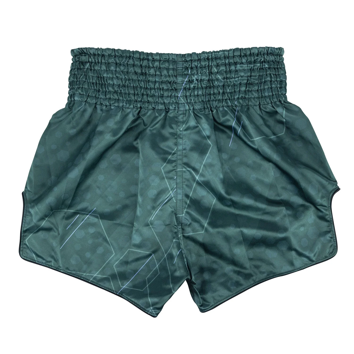 BS1952 Fairtex Jungle Hunter Muaythai Shorts - Image 2