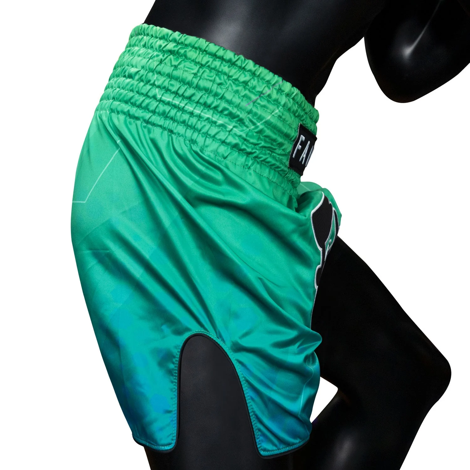 BS1953 Fairtex Quantum Muaythai Shorts - Image 5
